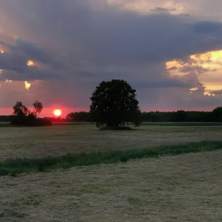 Rueck'heim *