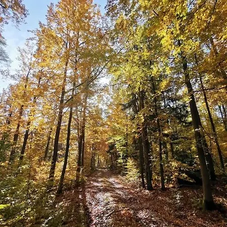Lägenhet Rueck'heim Mixdorf