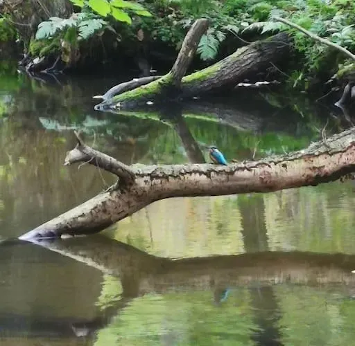 Apartamento Rück'heim Mixdorf