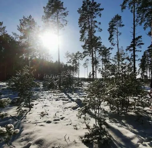 Rück'heim Apartamento *