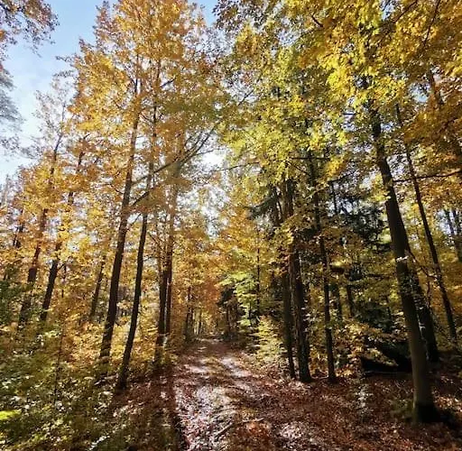 Apartamento Rück'heim Mixdorf